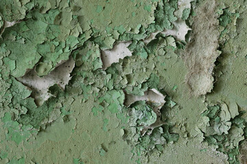 Green peeling paint on the wall. Old concrete wall with cracked flaking paint. Weathered rough painted surface with patterns of cracks and peeling. High resolution texture for background and design.