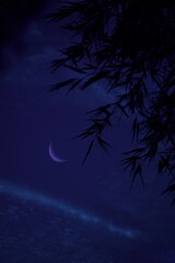 night sky with moon