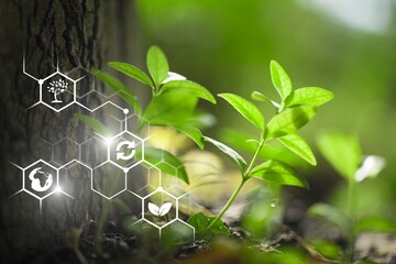 Agriculture concept. Young green plant and eco illustration