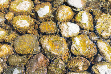 manantial de Zacualpan