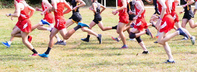 Runners at start of boys 5K cross country race on grass