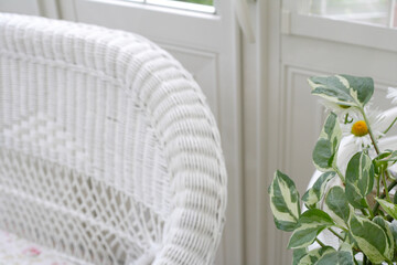 ガーデンルームの椅子とグリーンの植物