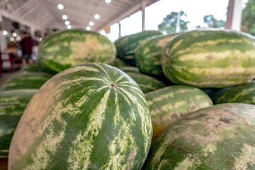 Pile of fresh ripe watermelons lying in wooden boxes in fruit