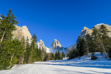 Mountains and pine trees in winter at "La Jarjatte" in France
