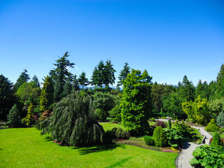 Fototapeta na wymiar Beautiful view of the Queen Elizabeth Park of Vancouver at spring on a sunny day 