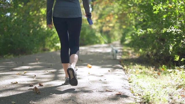 Dog with owner on trail during fall season at 60fps
