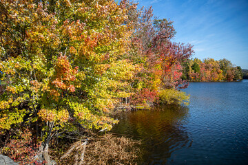 The fantastic colors of the trees along a reservior in the autumn months in upstate New York.