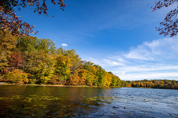The beautiful colors of the autumn along a lake in upstate New York.