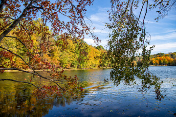 Fototapeta premium The beautiful colors of the autumn along a lake in upstate New York.