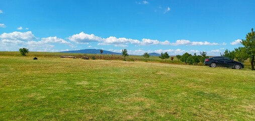 person walking in the field