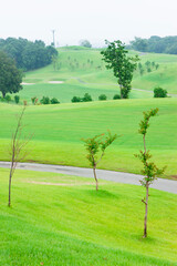Obraz premium ゴルフ場