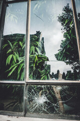 Broken window with plants inside