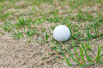 ラフ上のゴルフボール