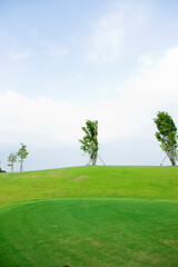 Fototapeta na wymiar ゴルフ場の芝生と木