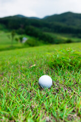 ラフ上のゴルフボール