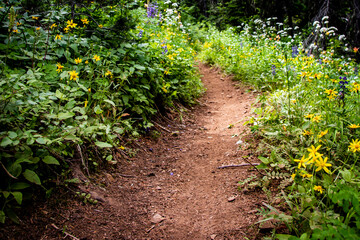 Running Trail in Eastern Washington 