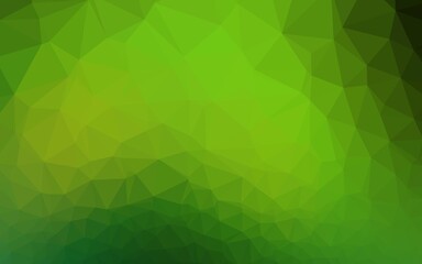 Obraz premium Light Green vector abstract polygonal texture.