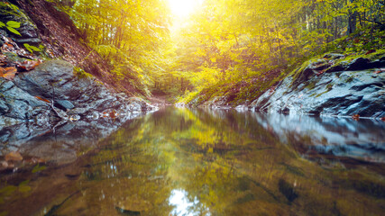 Natural water stream in forest in autumn season