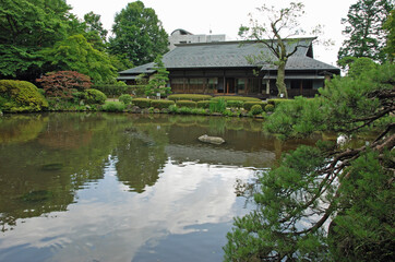 Fototapeta premium もみじ公園