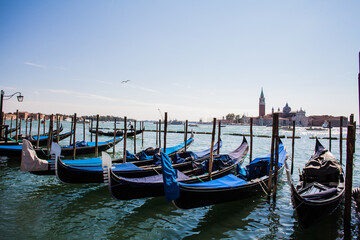 Fototapeta premium The famous gondolas parked in the harbour in Venice, Italy
