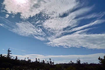 雲