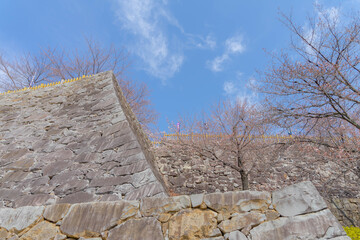 武田城