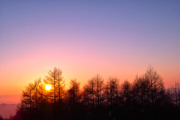 Obraz premium 夕陽