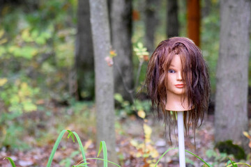 Severed Head on a Pike Grotesque Halloween Horror Execution