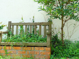 ジャンクガーデンと木のベンチ