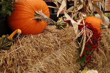 Pumpkins and gourds on straw bale harvest display