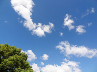 白い雲と青空