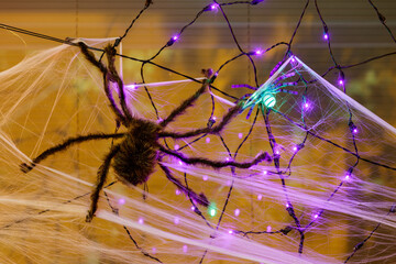 Giant Spider Hanging on Cob Web for Halloween