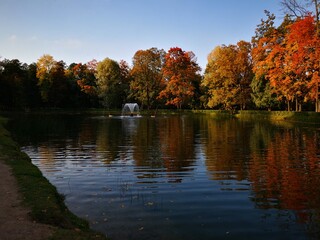 autumn trees reflected in water