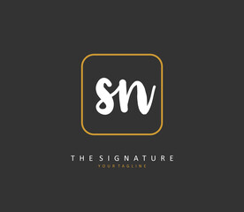 S N SN Initial letter handwriting and signature logo. A concept handwriting initial logo with template element.