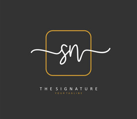 S N SN Initial letter handwriting and signature logo. A concept handwriting initial logo with template element.