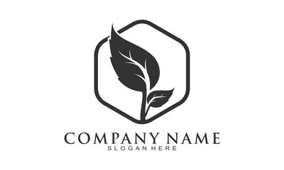 Leaf frame illustration vector logo
