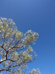 Day Trip to Karajini 