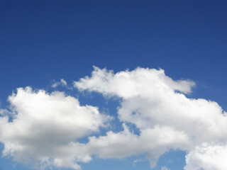 Obraz premium 青空と白い雲