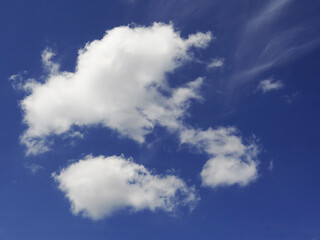 Obraz premium 青空と白い雲