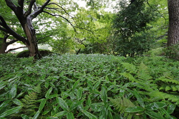 東京都庭園美術館３