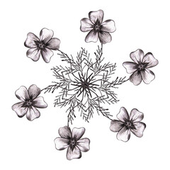 Obraz premium Black Hand-Drawn Flower Circle Composition. Thin-leaved Marigolds Sketch.