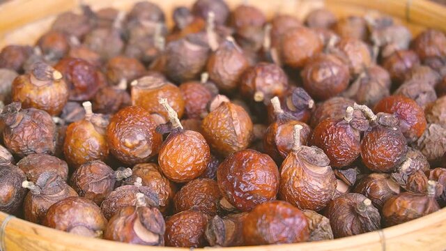 Dry soapberry seed.
