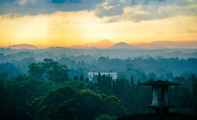 Morning Light
