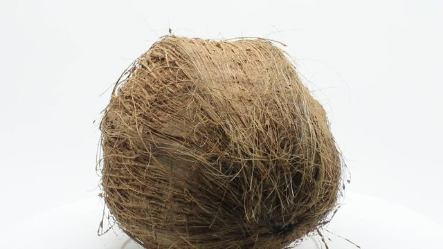 Dry Coconut on white background