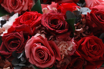 ブリザードの薔薇