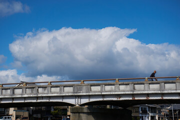 Fototapeta na wymiar the clouds on the bridge of Shijo of kyoto, Japan