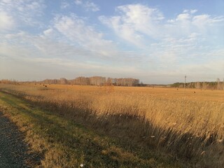 landscape in the morning