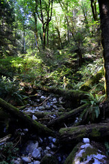 Vancouver, Canada - Baden-Powell Trail to Quarry Rock