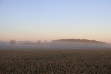 Schwabenland, Landschaften und Natur auf der schwäbischen Alb bei Sonnenaufgang