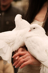 two white doves on a woman's hand